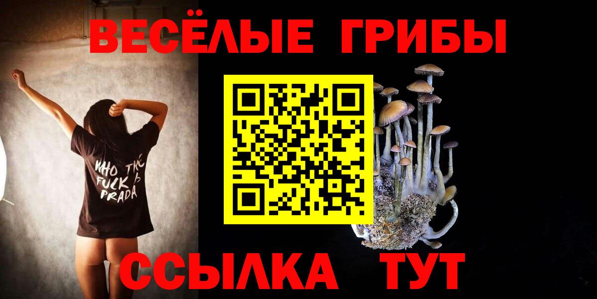 Томск  Псилоцибиновые грибы мицелий  Вход с VPN 