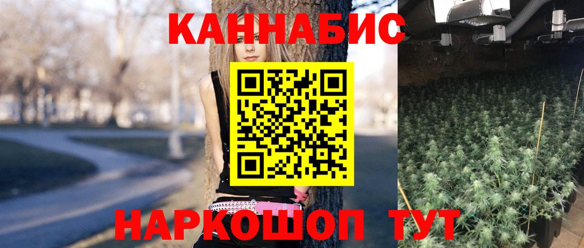 Каннабис план  Канабис White Widow  Вход с VPN  Томск  Шишки марихуана OG Kush  Канабис MAZAR 